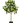 ARBOL DECORATIVO LIMON